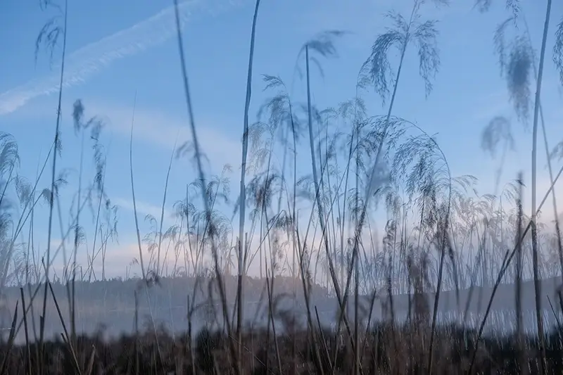 Botschafter Region Dahme-Heideseen
